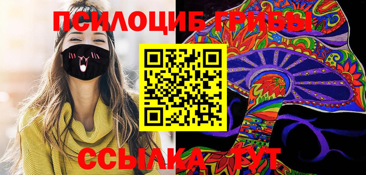 Псилоцибиновые грибы Psilocybine cubensis Коммунар