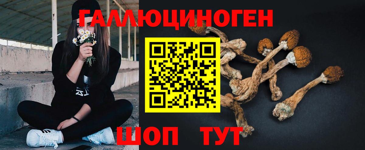 Коммунар  Галлюциногенные грибы прущие грибы  Вход с VPN 